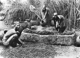 Producción de aceite de palma en Dahomey, c.1900